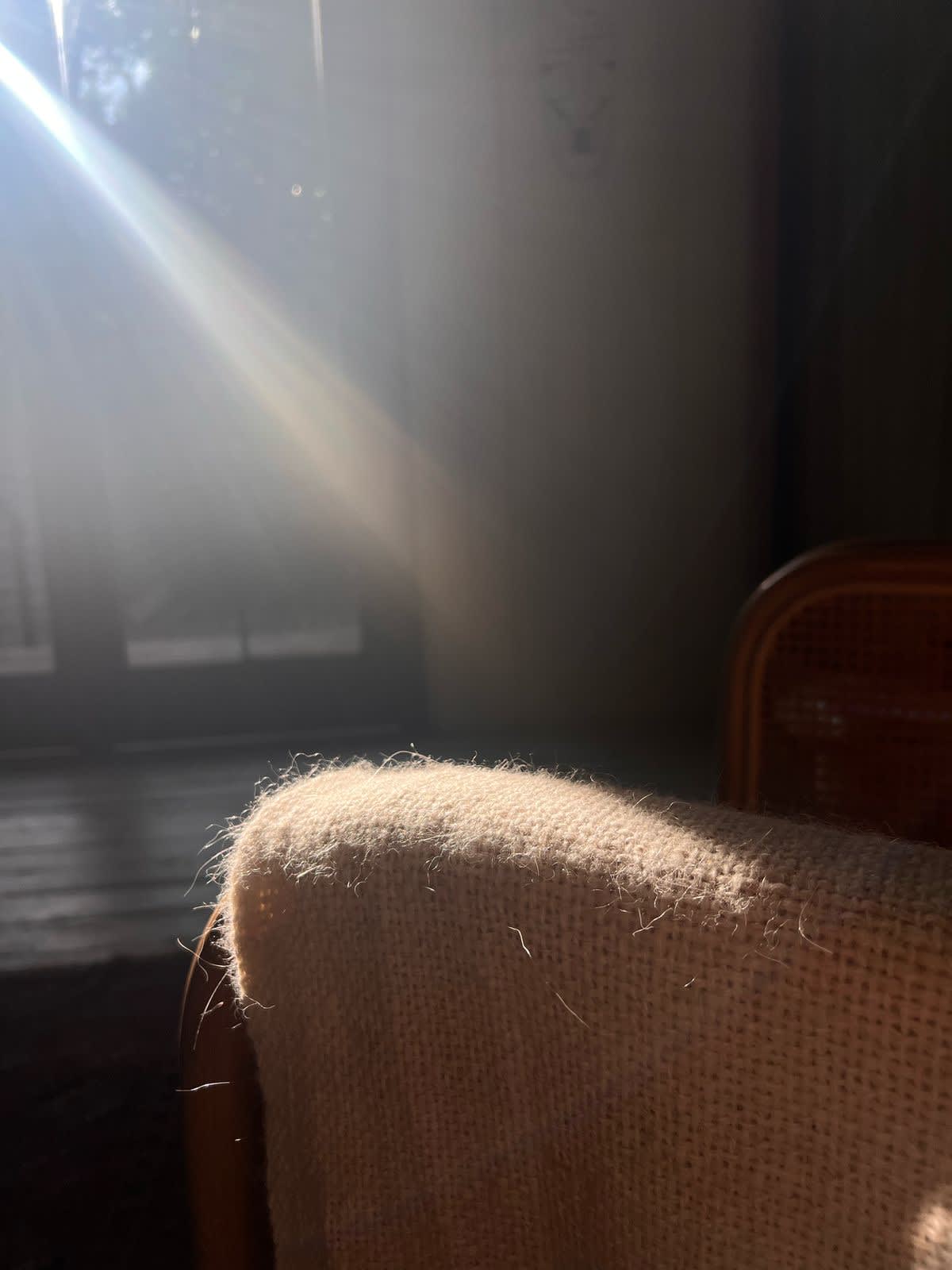 Reformer Studio Image 3