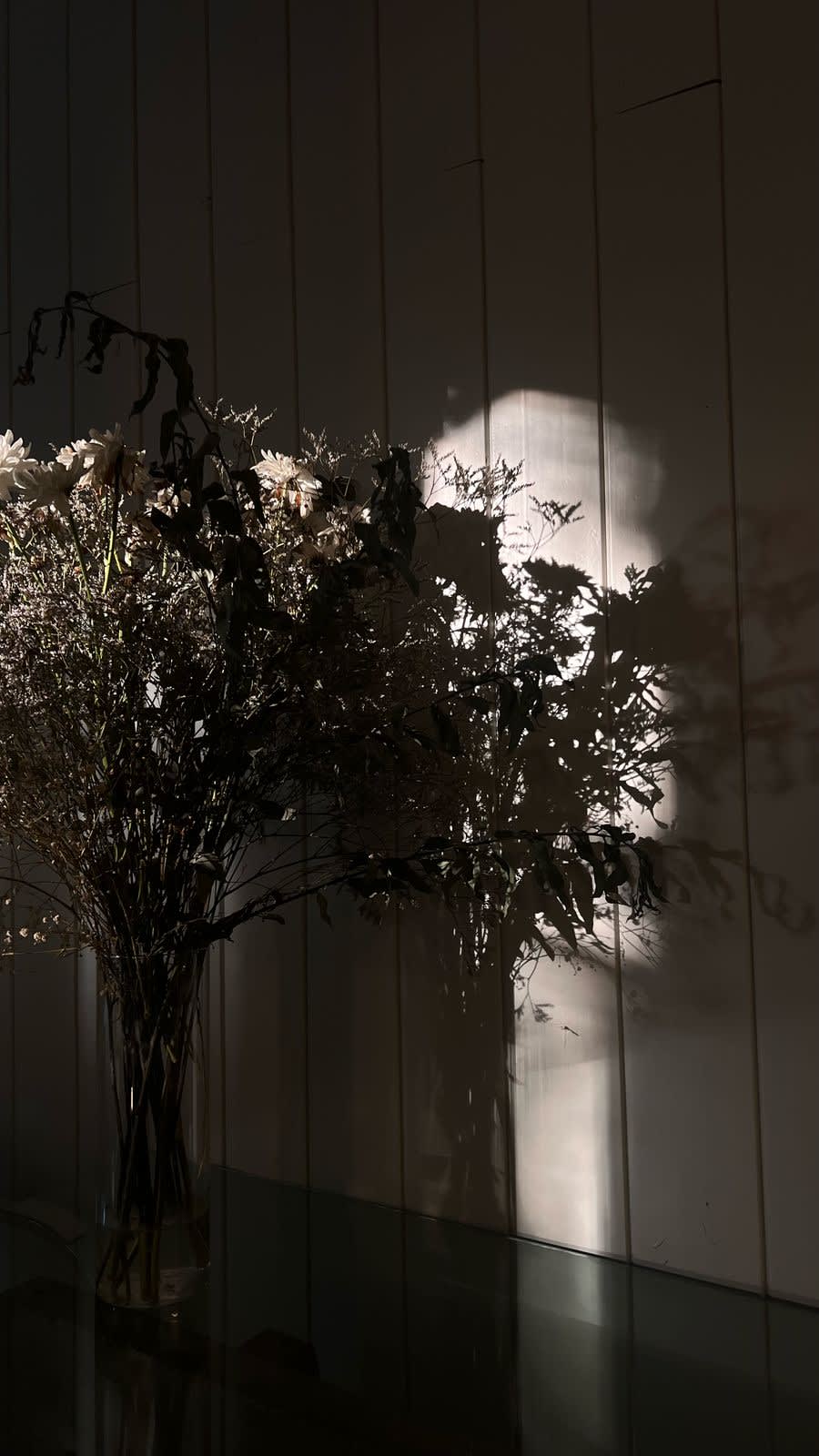 Reformer Studio Image 5